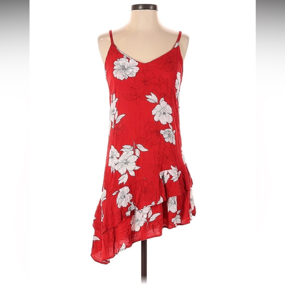 Slate & Willow Red Floral Lita Dress